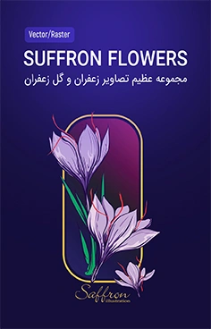 تصاویر زعفران