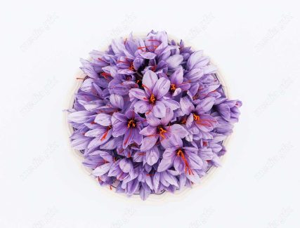 عکس باکیفیت گل زعفران پس زمینه MJ000011