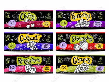 وکتور لیبل میوه، سبزیجات، صیفی جات و ترشی MV000001