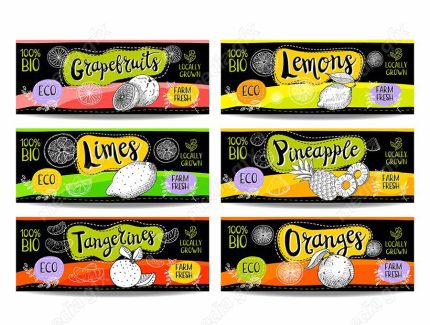 وکتور لیبل میوه، سبزیجات، صیفی جات و ترشی MV000002