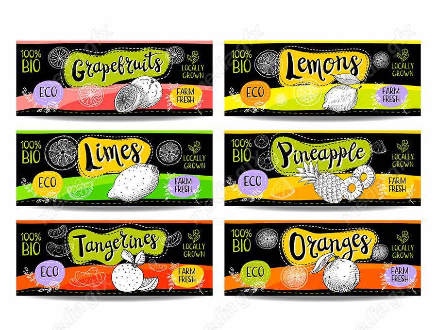 وکتور لیبل میوه، سبزیجات، صیفی جات و ترشی MV000002