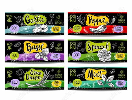 وکتور لیبل میوه، سبزیجات، صیفی جات و ترشی MV000003