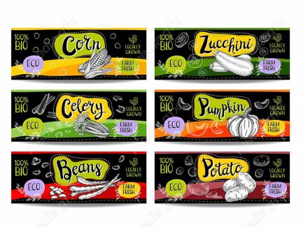 وکتور لیبل میوه، سبزیجات، صیفی جات و ترشی MV000004