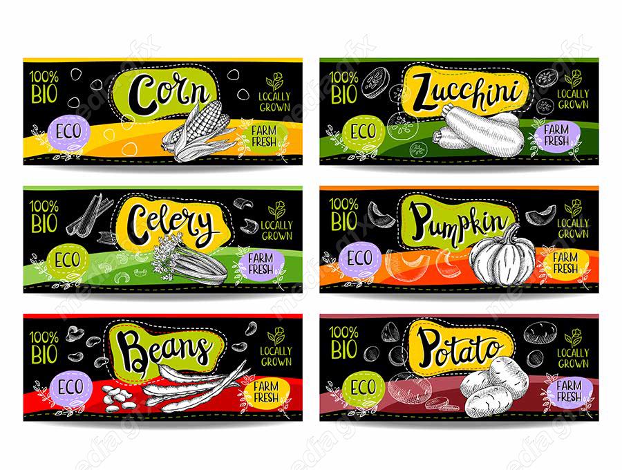 وکتور لیبل میوه، سبزیجات، صیفی جات و ترشی MV000004