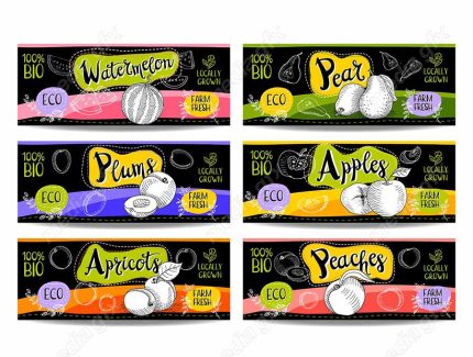 وکتور لیبل میوه، سبزیجات، صیفی جات و ترشی MV000005