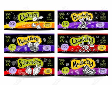 وکتور لیبل میوه، سبزیجات، صیفی جات و ترشی MV000006