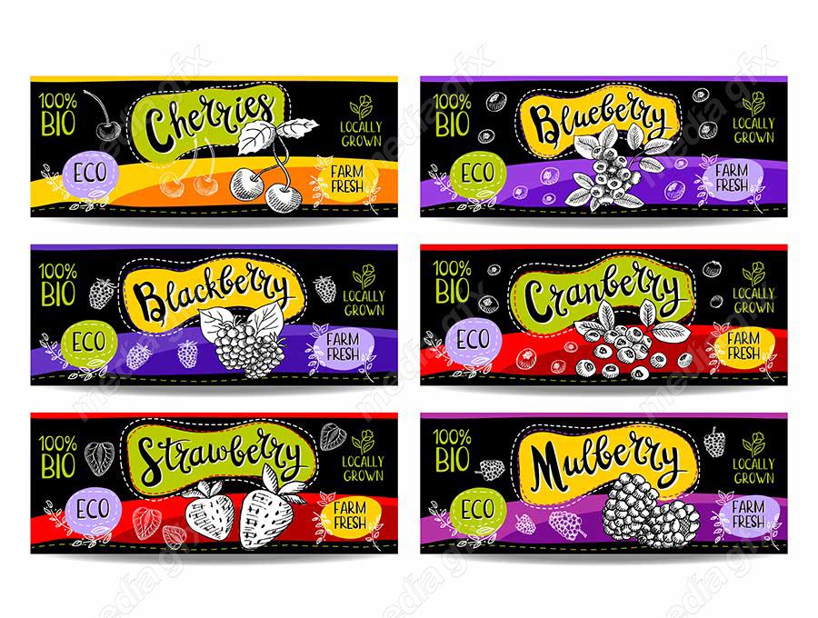 وکتور لیبل میوه، سبزیجات، صیفی جات و ترشی MV000006