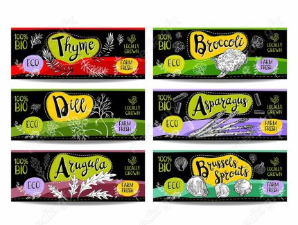 وکتور لیبل میوه، سبزیجات، صیفی جات و ترشی MV000007