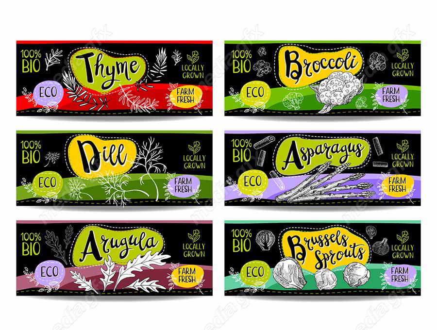 وکتور لیبل میوه، سبزیجات، صیفی جات و ترشی MV000007