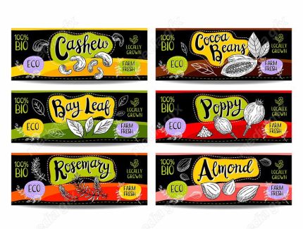 وکتور لیبل میوه، سبزیجات، صیفی جات و ترشی MV000008