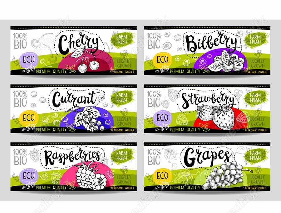 وکتور لیبل میوه، سبزیجات، صیفی جات و ترشی MV000009