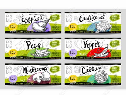 وکتور لیبل میوه، سبزیجات، صیفی جات و ترشی MV000012