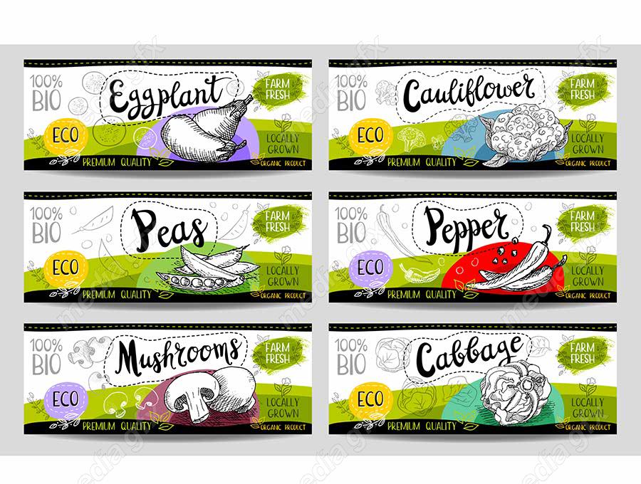وکتور لیبل میوه، سبزیجات، صیفی جات و ترشی MV000012