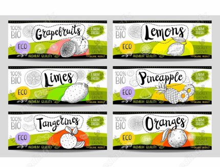وکتور لیبل میوه، سبزیجات، صیفی جات و ترشی MV000013