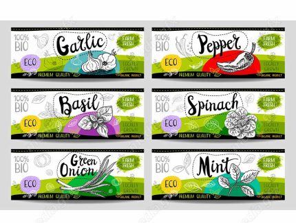 وکتور لیبل میوه، سبزیجات، صیفی جات و ترشی MV000014
