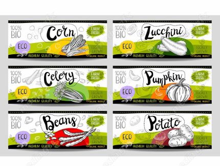 وکتور لیبل میوه، سبزیجات، صیفی جات و ترشی MV000015