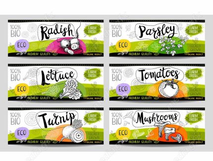 وکتور لیبل میوه، سبزیجات، صیفی جات و ترشی MV000016