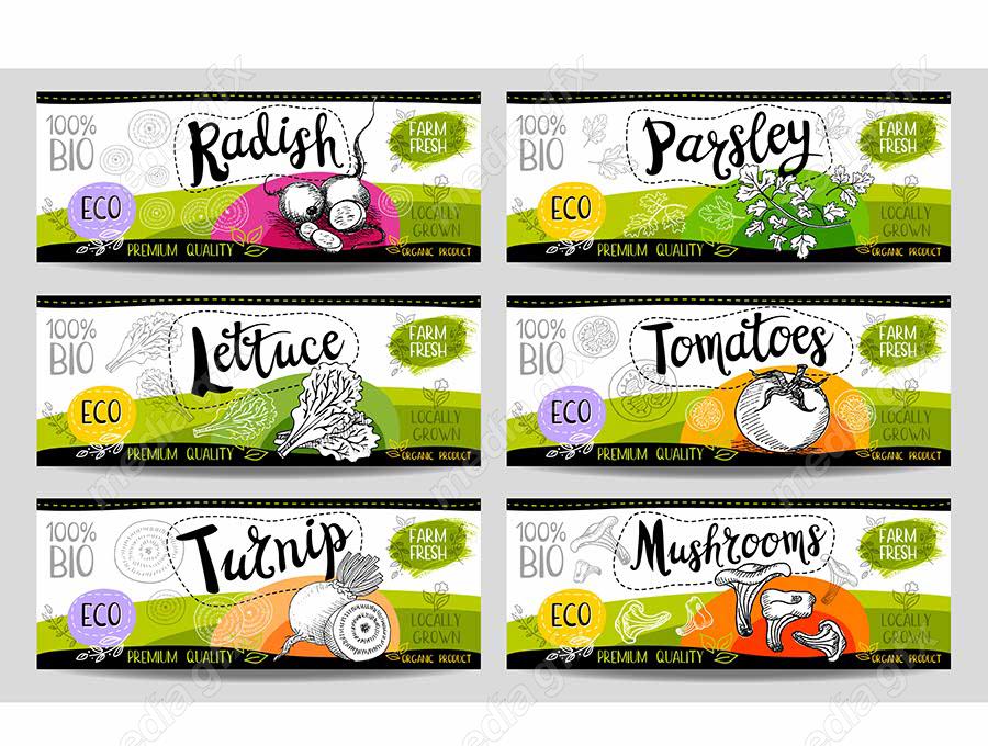 وکتور لیبل میوه، سبزیجات، صیفی جات و ترشی MV000016