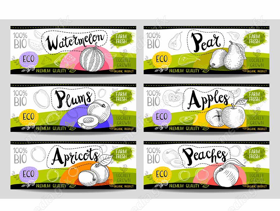وکتور لیبل میوه، سبزیجات، صیفی جات و ترشی MV000017