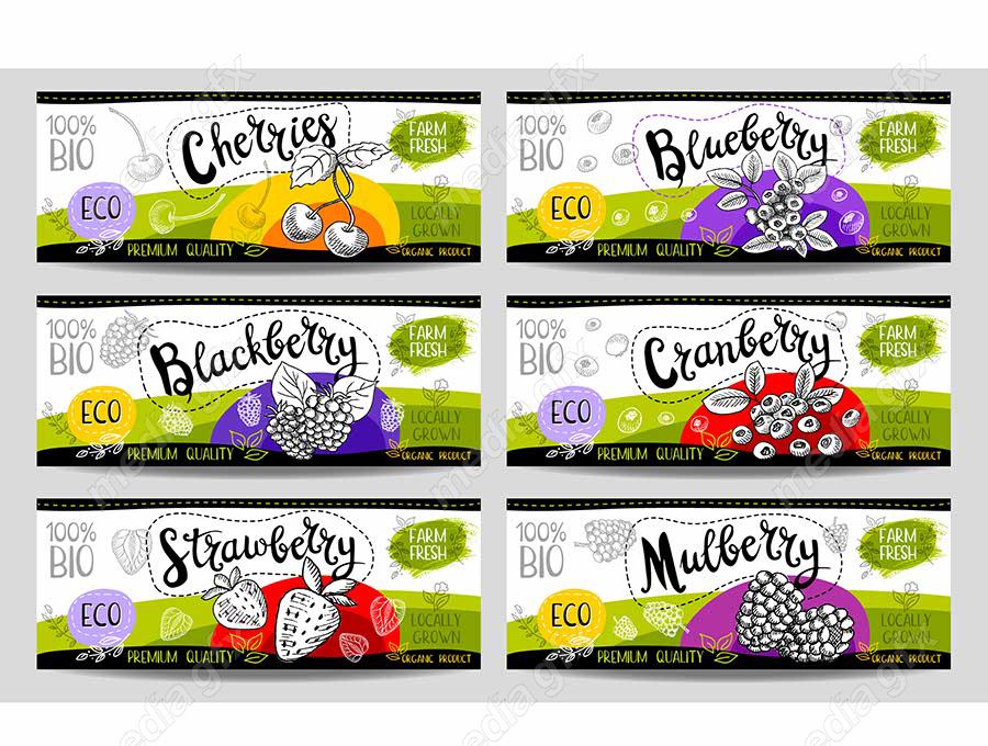 وکتور لیبل میوه، سبزیجات، صیفی جات و ترشی MV000018