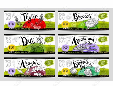 وکتور لیبل میوه، سبزیجات، صیفی جات و ترشی MV000019