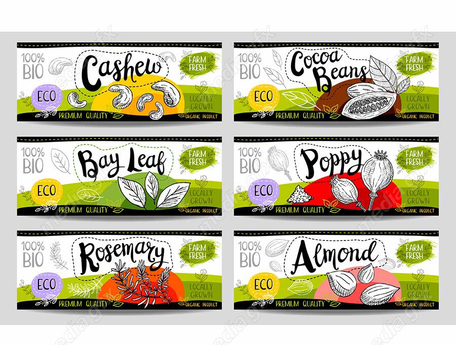 وکتور لیبل میوه، سبزیجات، صیفی جات و ترشی MV000020