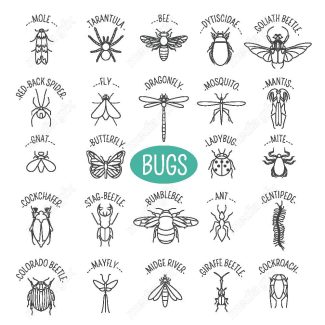 وکتور آیکن حشرات سوسک، پروانه، مگس و پشه MV000205