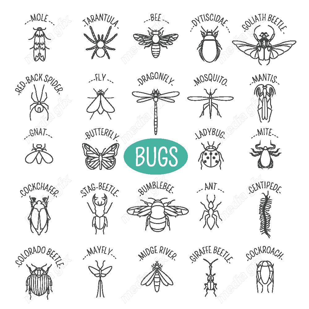 وکتور آیکن حشرات سوسک، پروانه، مگس و پشه MV000205