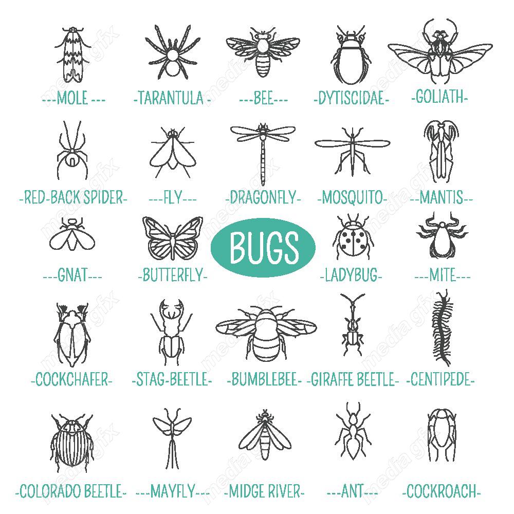 وکتور آیکن حشرات سوسک، پروانه، مگس و پشه MV000206