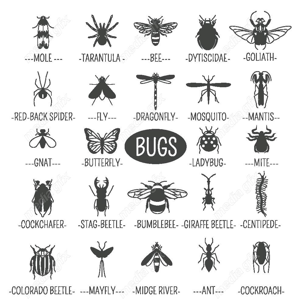 وکتور آیکن حشرات سوسک، پروانه، مگس و پشه MV000207