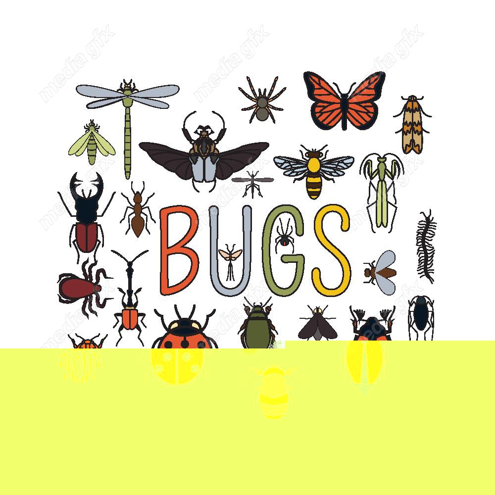 وکتور آیکن حشرات سوسک، پروانه، مگس و پشه MV000211