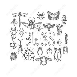 وکتور آیکن حشرات سوسک، پروانه، مگس و پشه MV000212