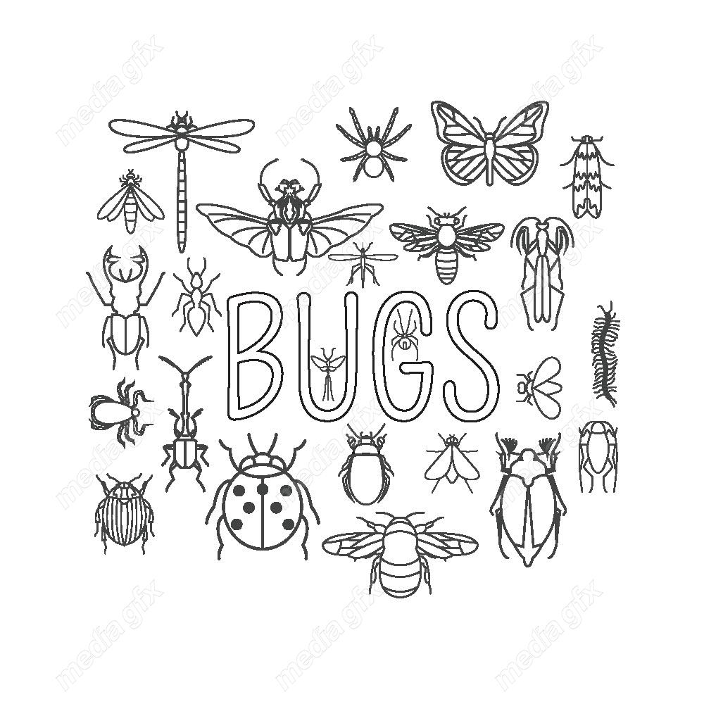 وکتور آیکن حشرات سوسک، پروانه، مگس و پشه MV000212