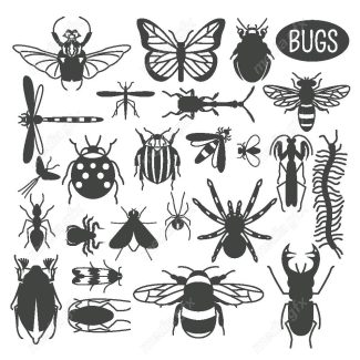 وکتور آیکن حشرات سوسک، پروانه، مگس و پشه MV000213