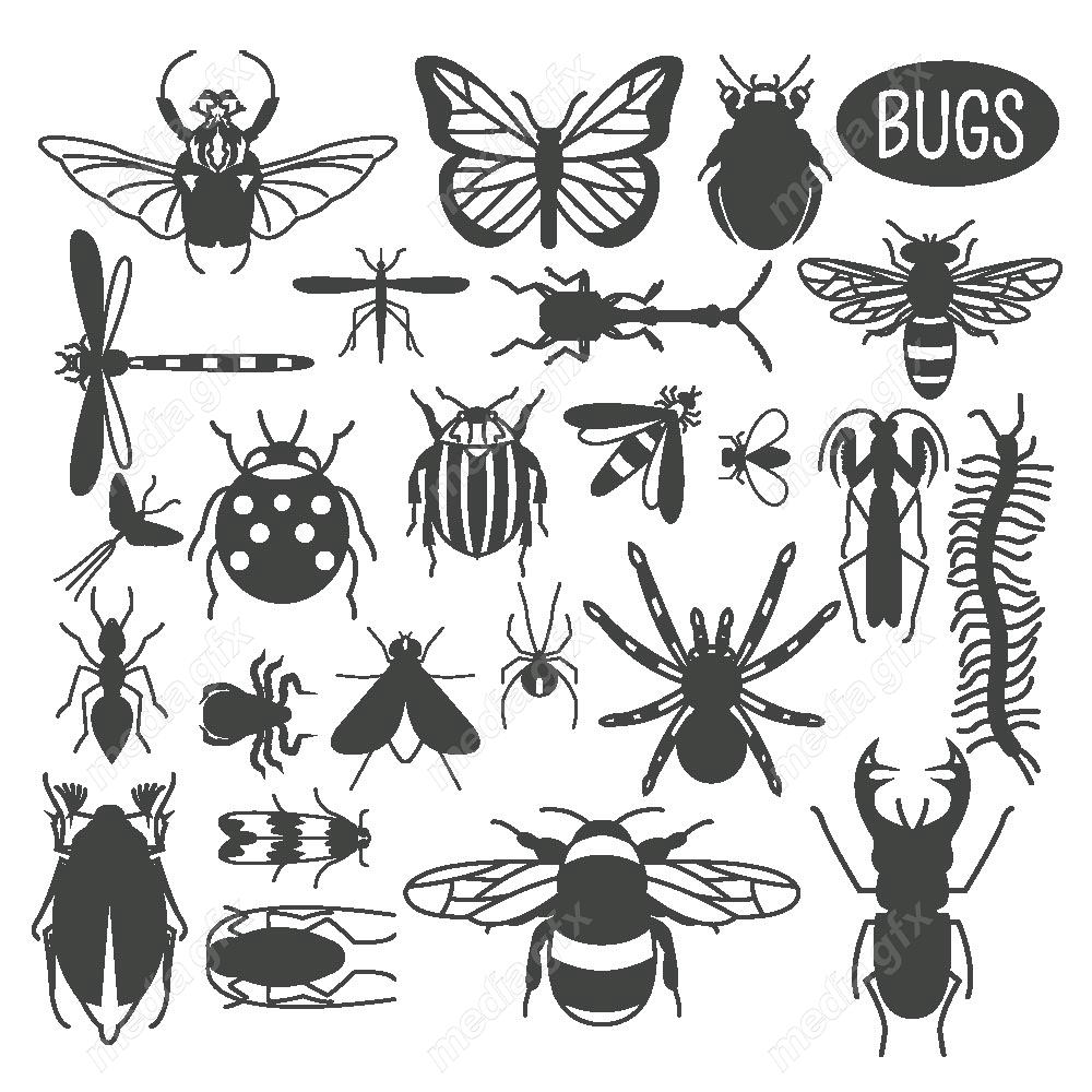 وکتور آیکن حشرات سوسک، پروانه، مگس و پشه MV000213