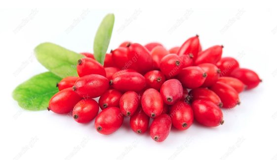 عکس با کیفیت زرشک پس زمینه سفید MJ000343