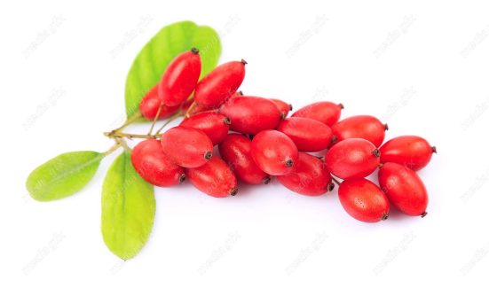 عکس با کیفیت زرشک پس زمینه سفید MJ000344