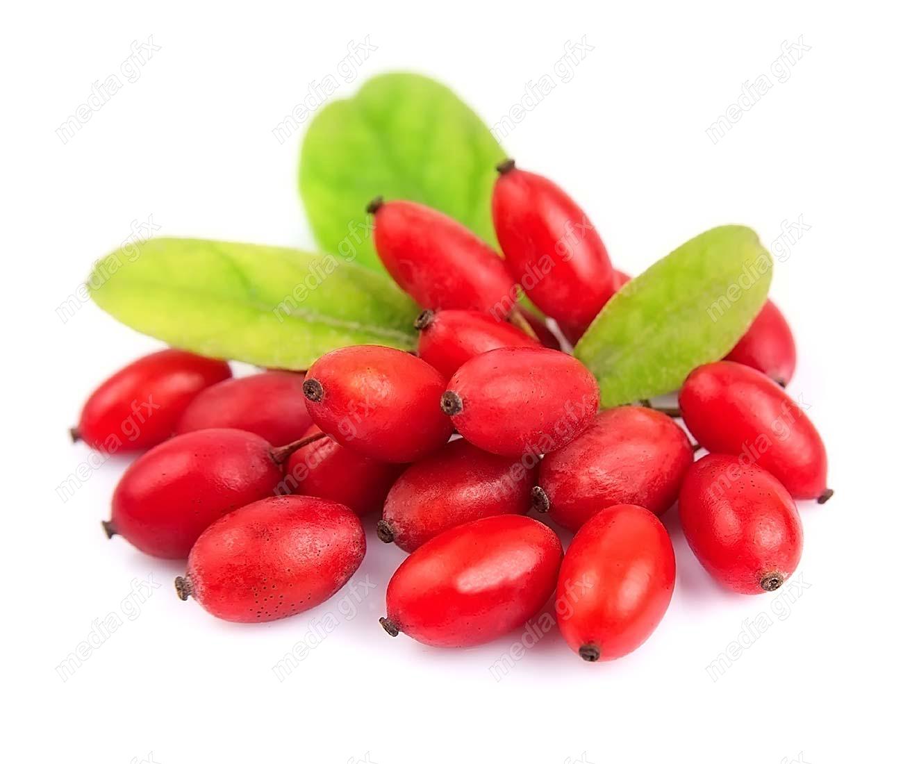 عکس با کیفیت زرشک پس زمینه سفید MJ000345