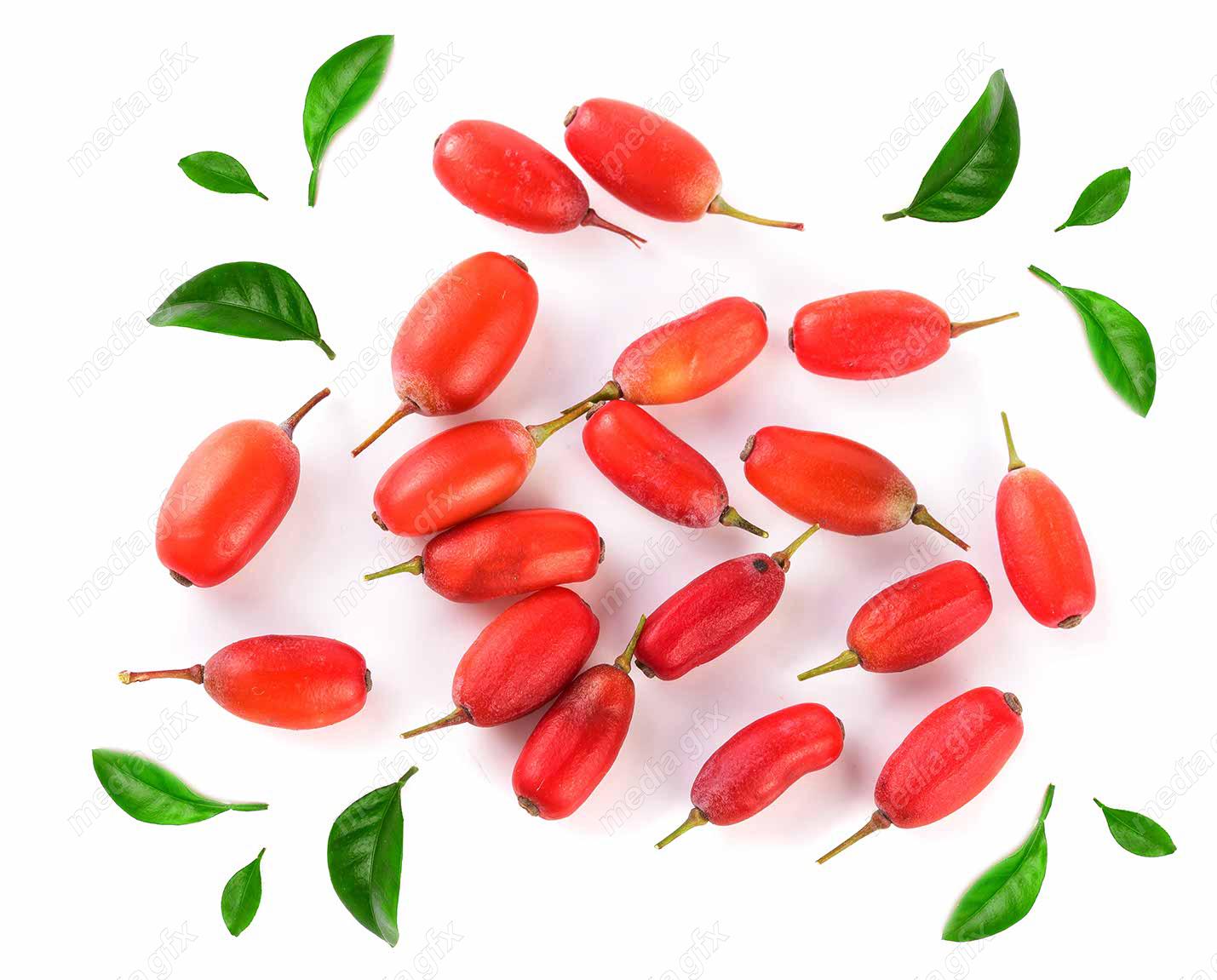 عکس با کیفیت زرشک پس زمینه سفید MJ000346