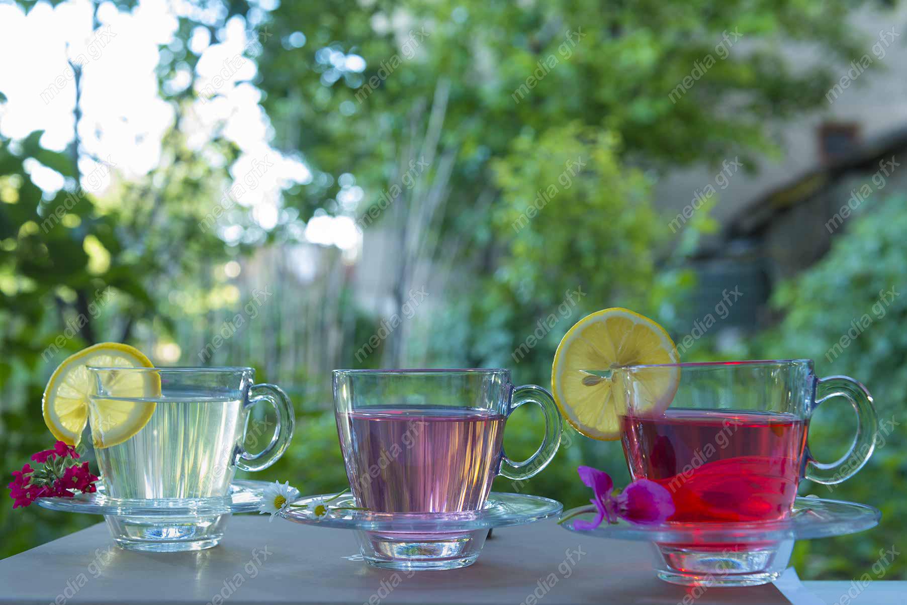 عکس با کیفیت دمنوش در فنجان شیشه ای MJ000489