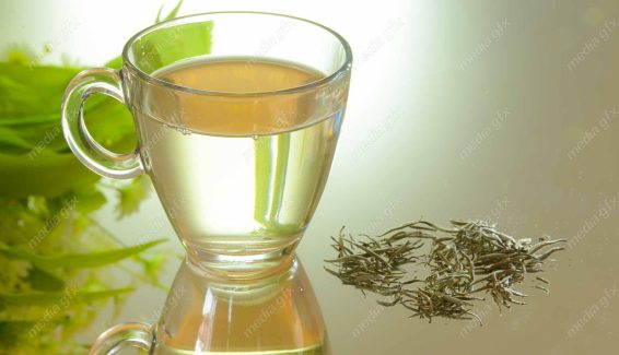 عکس با کیفیت دمنوش در فنجان شیشه ای MJ000493