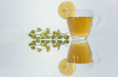 عکس با کیفیت دمنوش در فنجان شیشه ای MJ000496