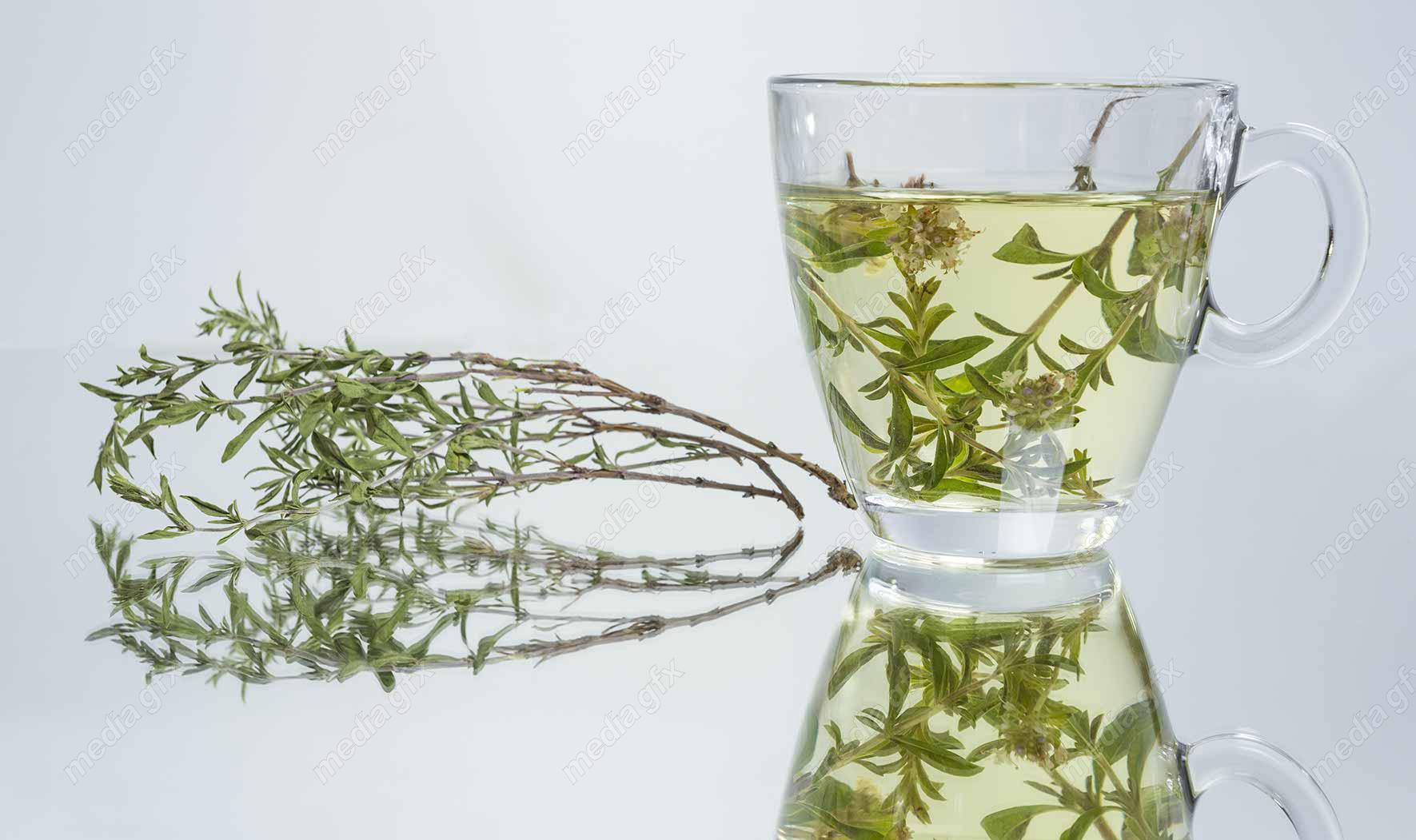 عکس با کیفیت دمنوش در فنجان شیشه ای MJ000497