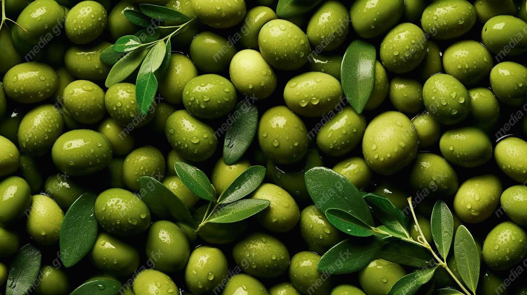 عکس با کیفیت زیتون و روغن زیتون MJ000878