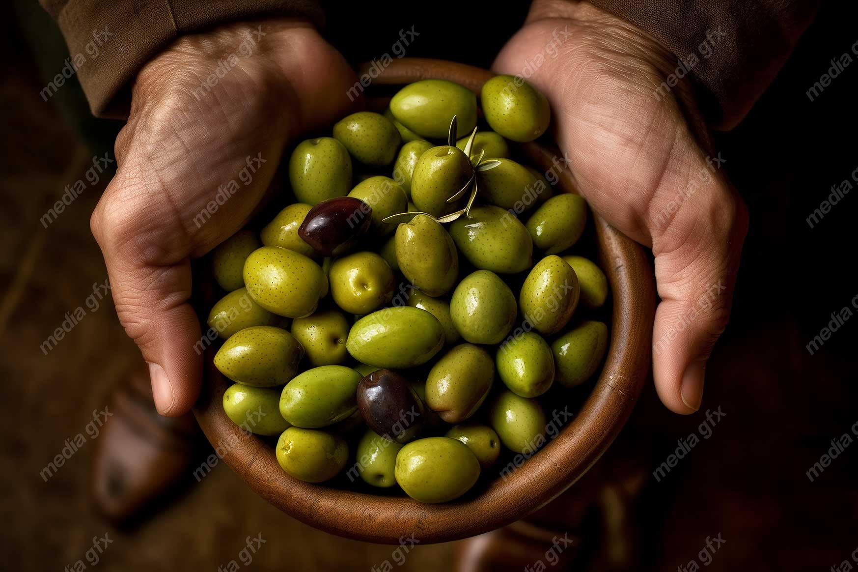 عکس با کیفیت زیتون و روغن زیتون MJ000887