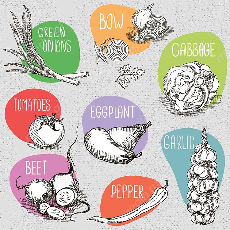 وکتور سبزیجات و صیفی جات MV001579