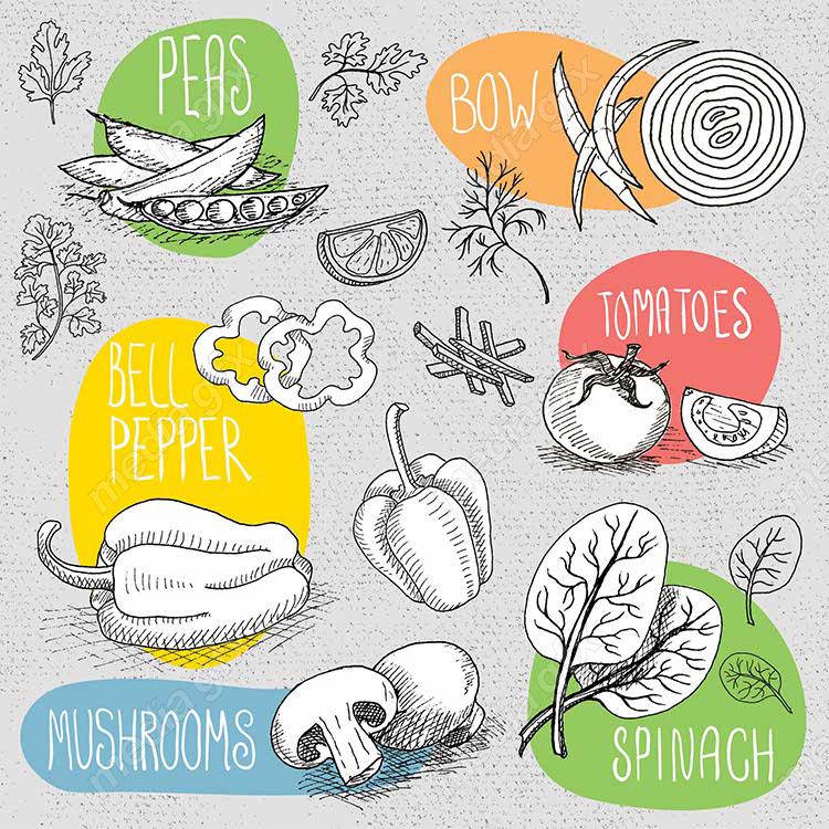 وکتور سبزیجات و صیفی جات MV001580