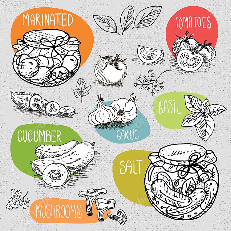 وکتور سبزیجات و صیفی جات MV001581