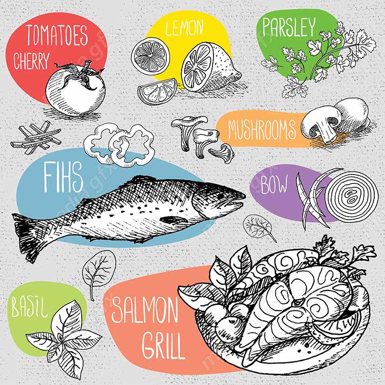 وکتور سبزیجات و صیفی جات MV001584