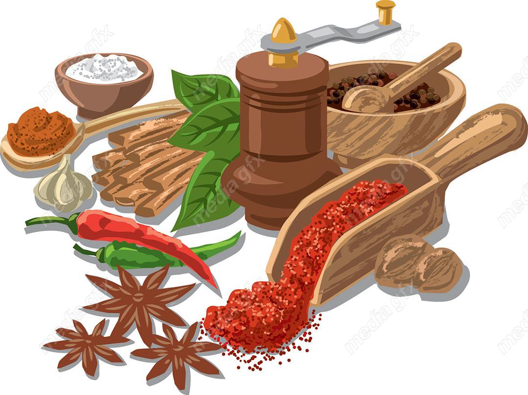 وکتور ادویه جات- فلفل، دارچین، نمک و…  MV001587